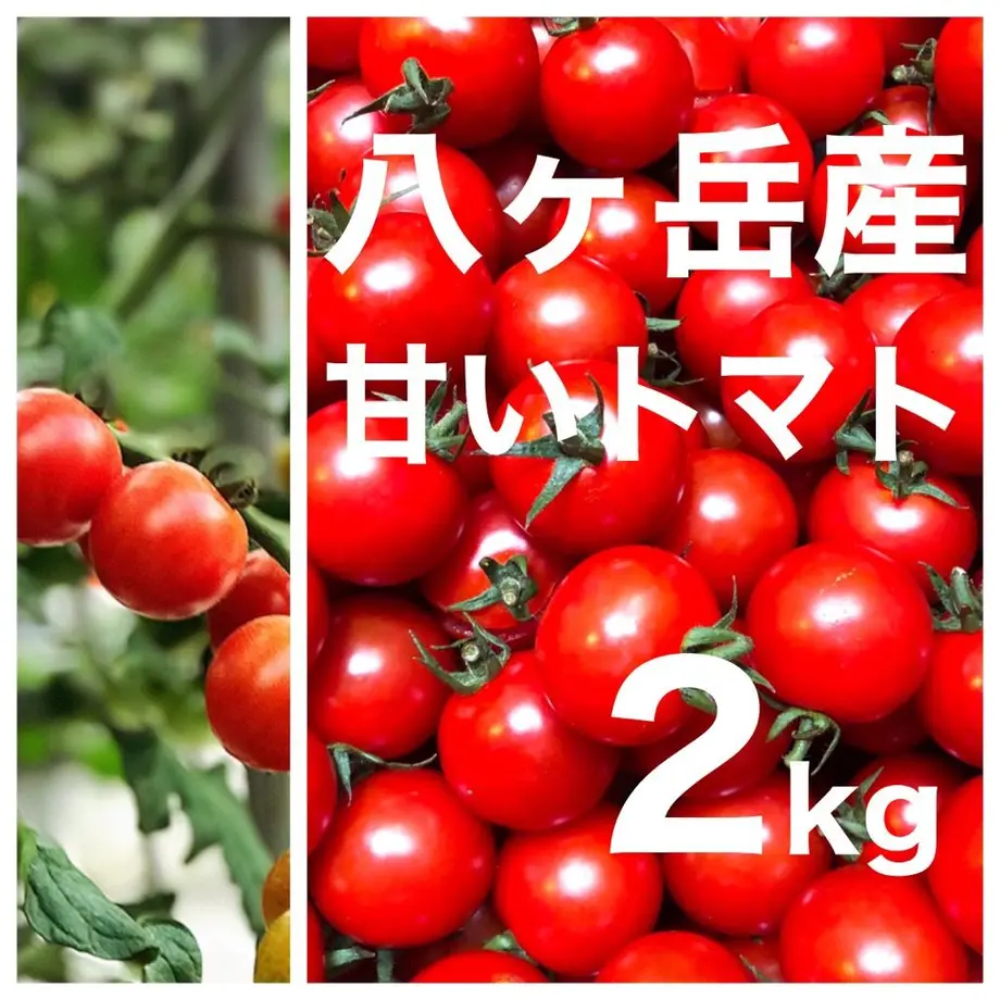 5e74161f2a9a42731ee0f2a6