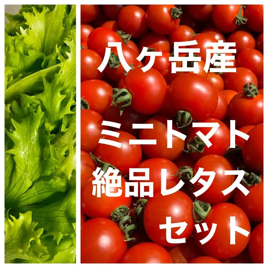 5ef7c4f7b5a4252ed02c8385