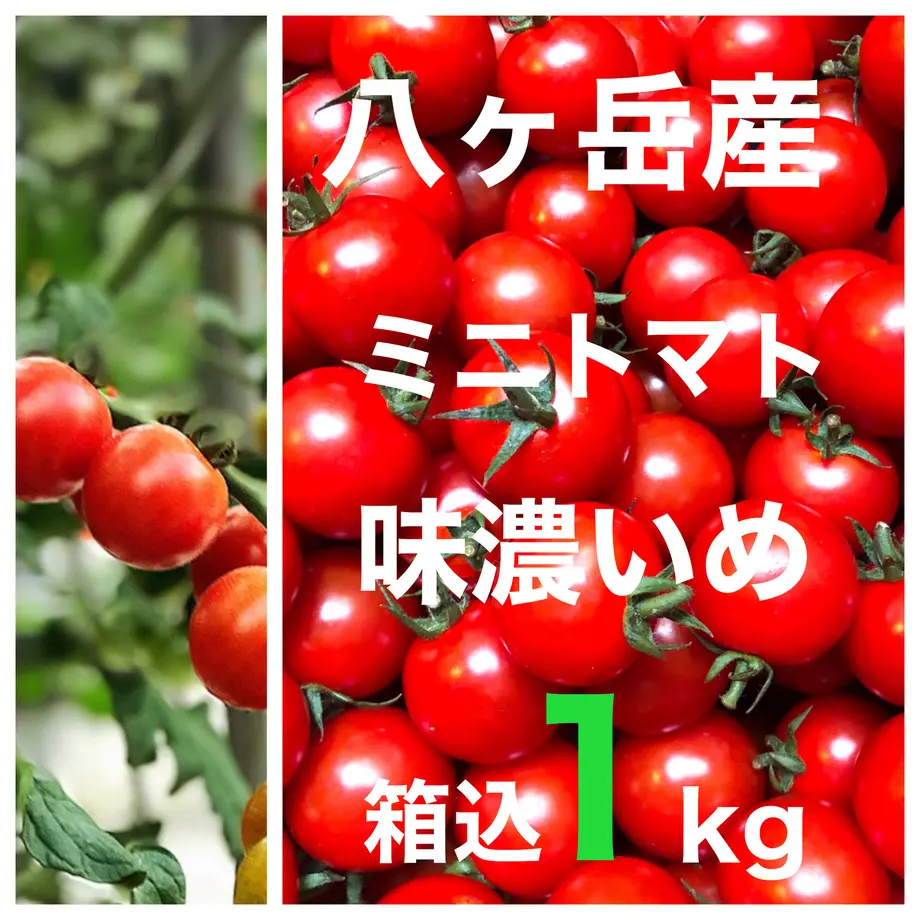 5e73b1eee20b0465035665af