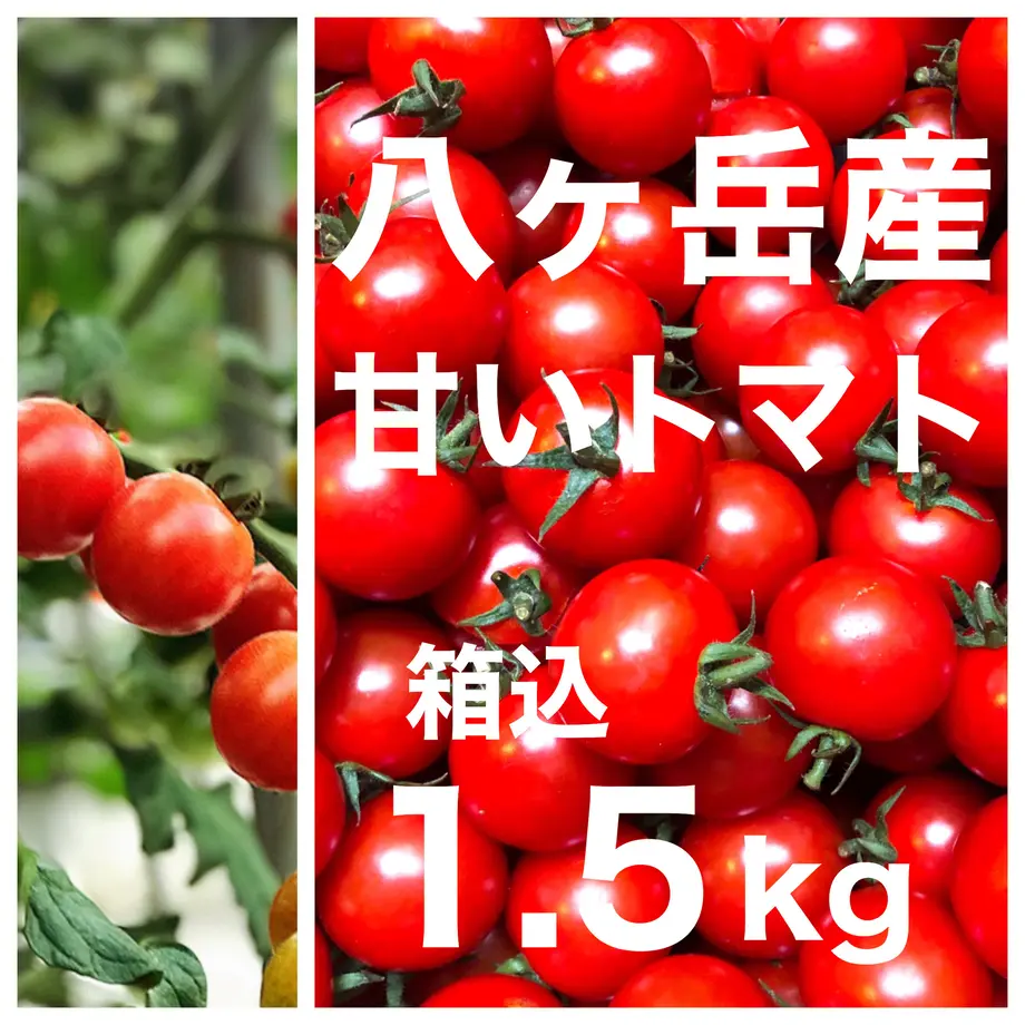 5ed9691f55fa0372d0767034
