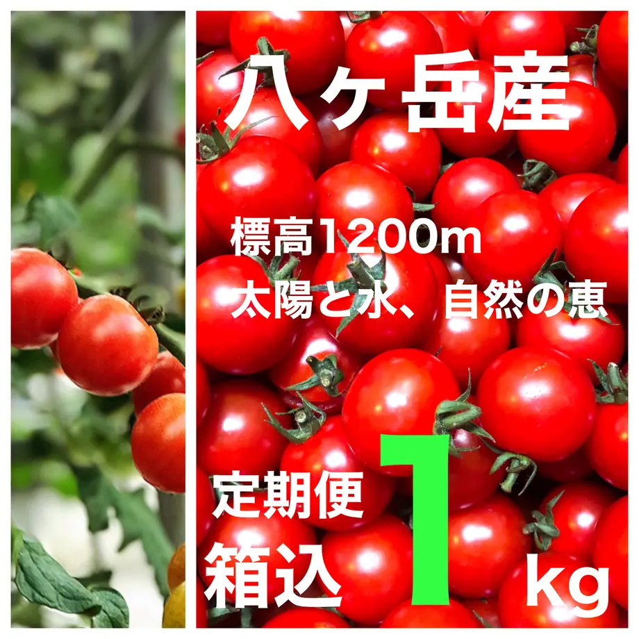 5ed96ee972b9114c90bc879f