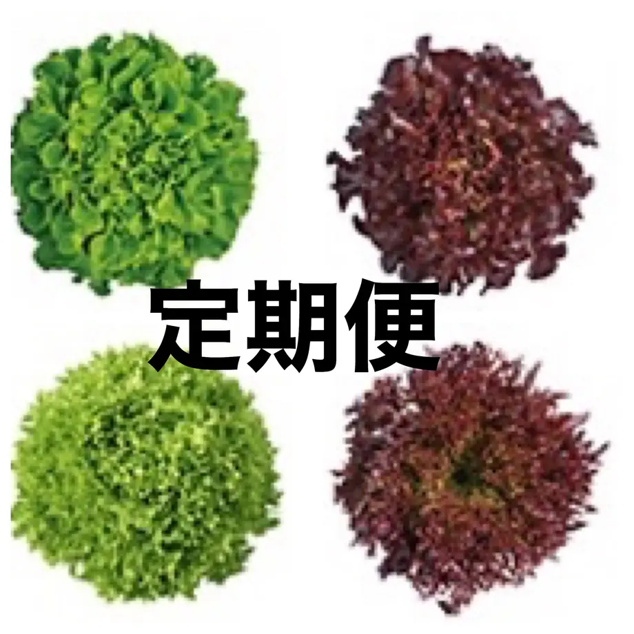 5f443e31791d026509fc19ea