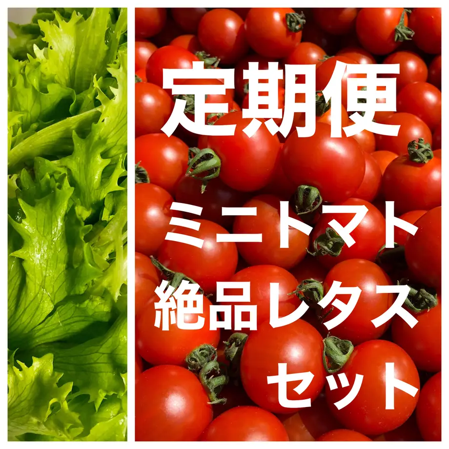 5f026e9b74b4e41012e5a060