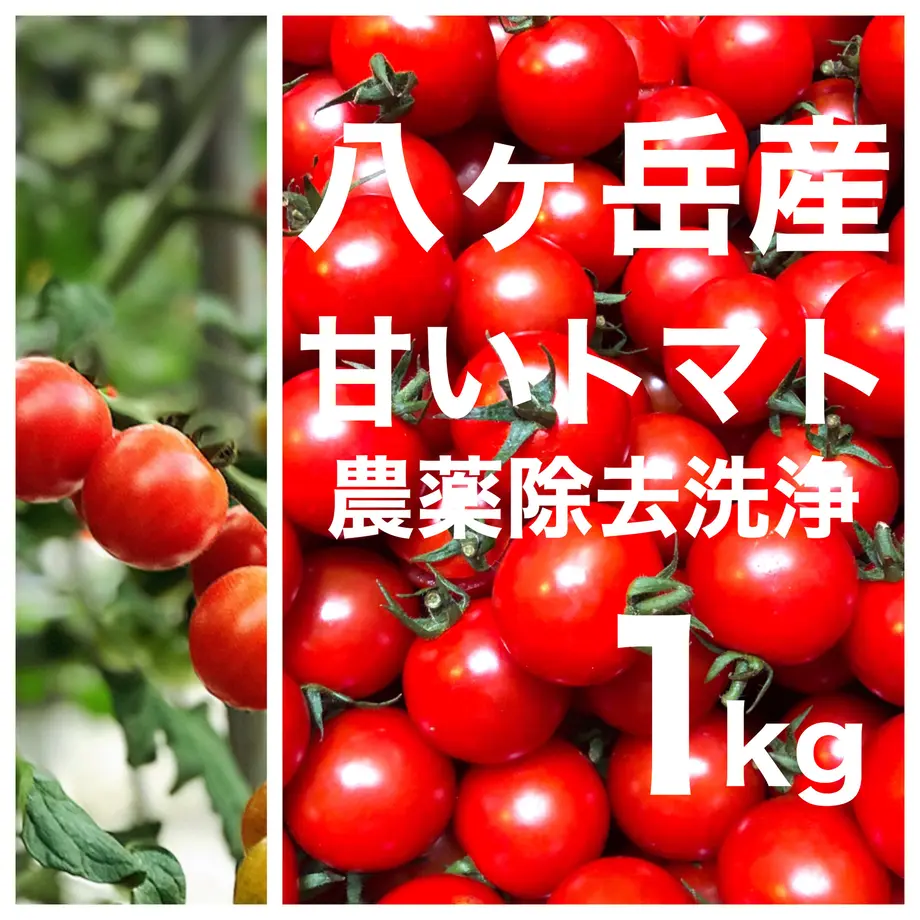5e754c3c9df1636f0c0ab4ee