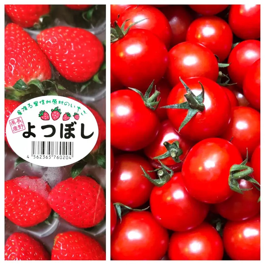 5fd58cfe8a45722801444246