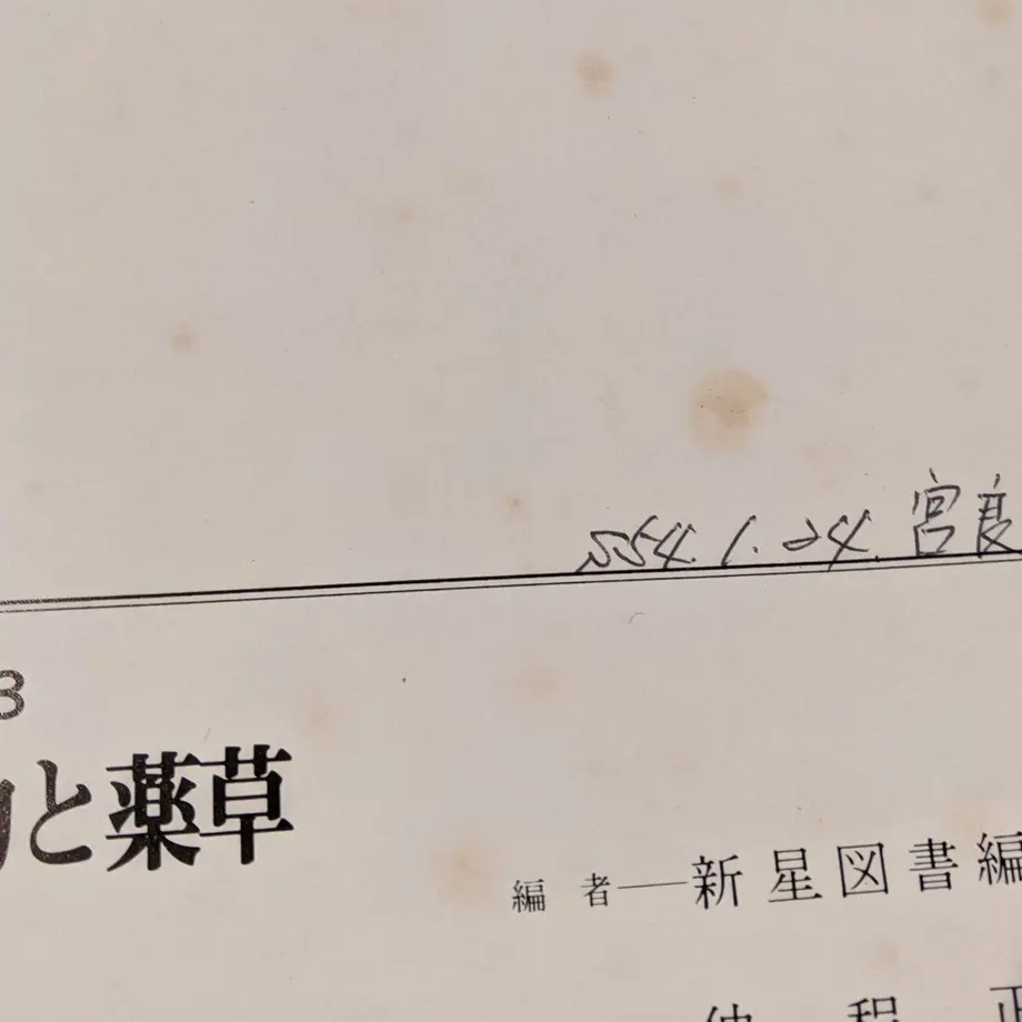 5b0b93315496ff1e4c000f94