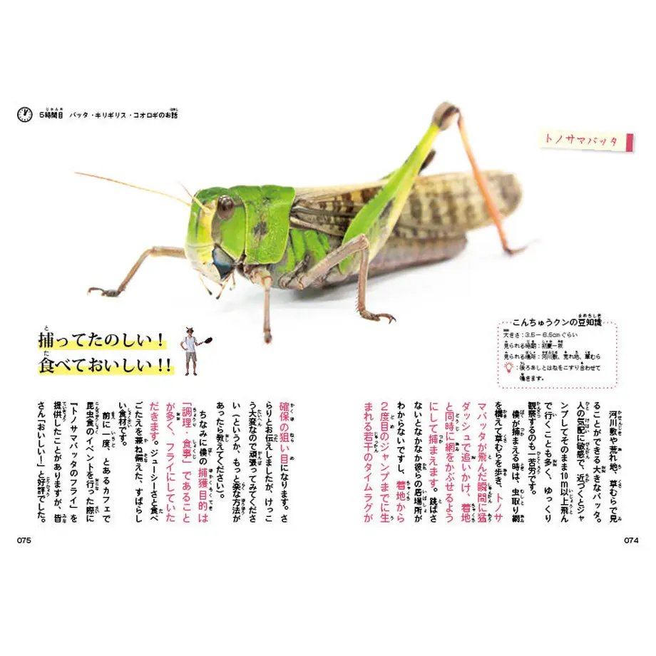 5ea7971472b9116309904e03
