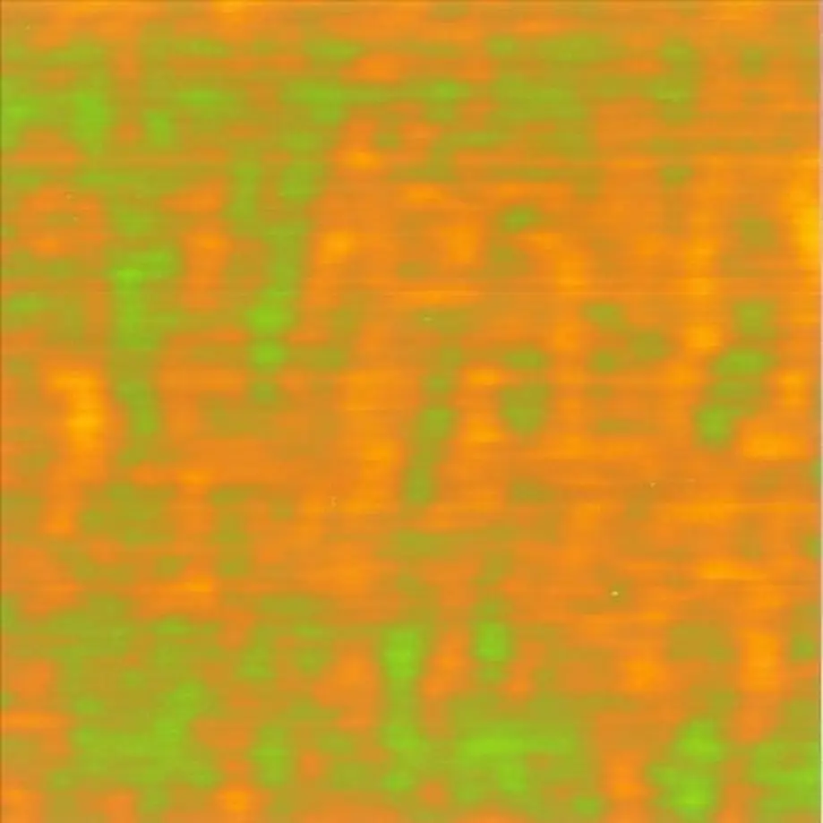 5c876d6d164eb1705ae10230