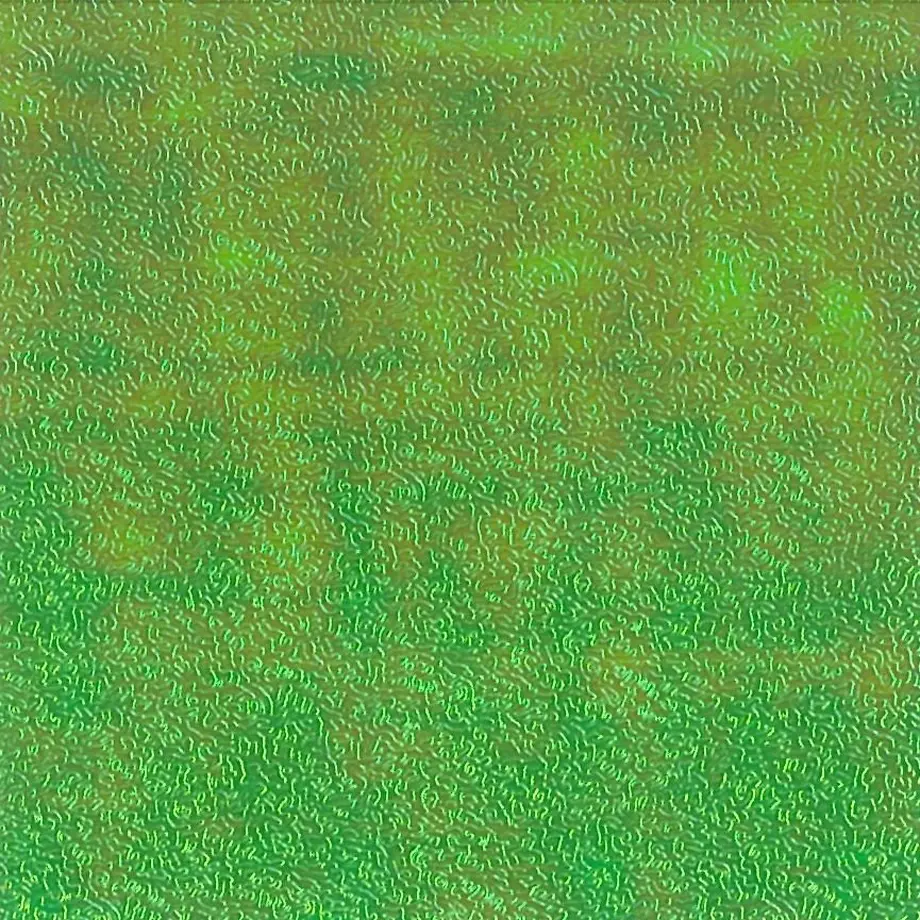 5c809c5ea341d00e55445221