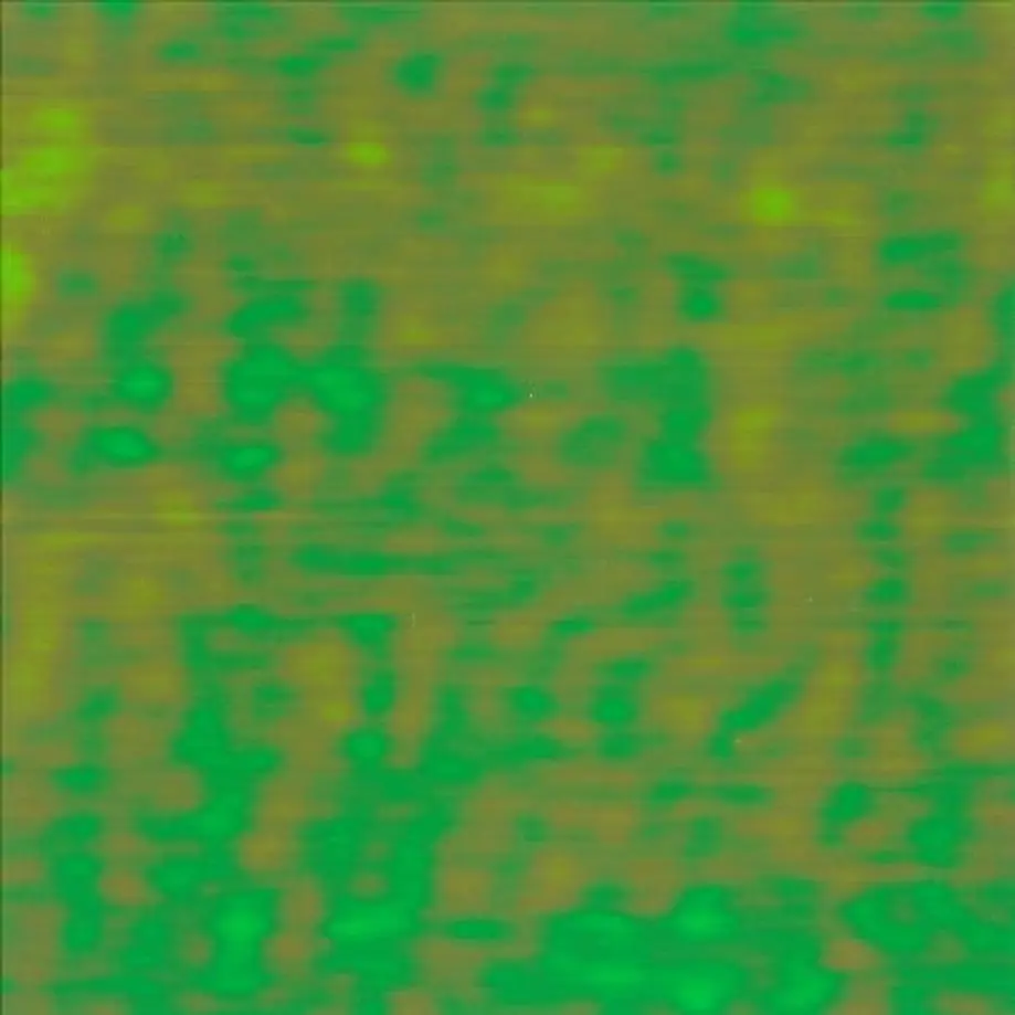 5c876d6d164eb1705ae10230