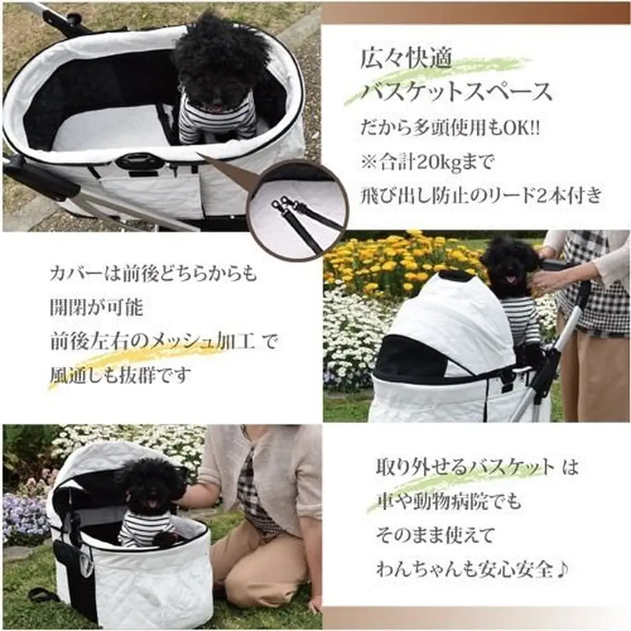 5cd647a80b92116d100bb821