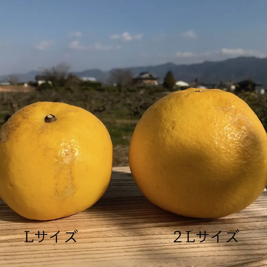 6045745e6e84d563ee520724