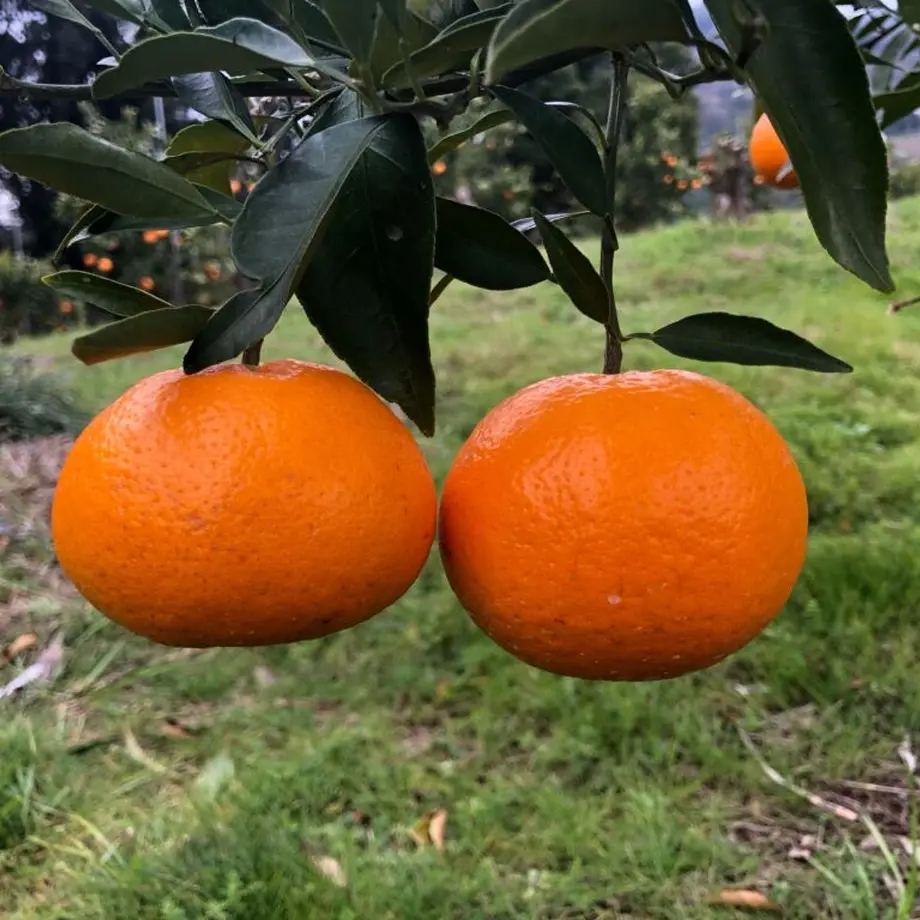 601393006e84d5502596944e