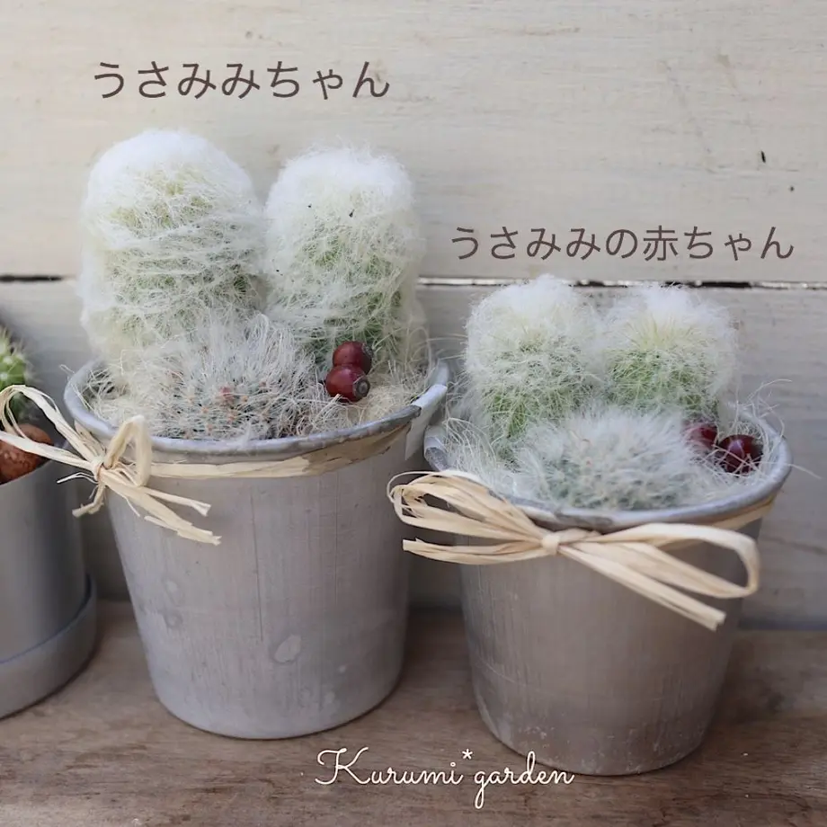 5d9045baff78bd6f2229027f