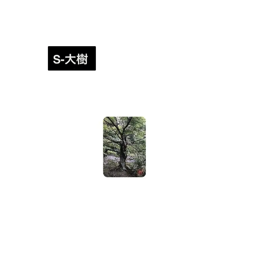 5f1fc732791d02526d41e731