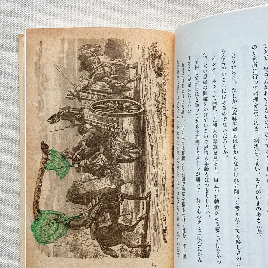 6331662823c2aa46133db708