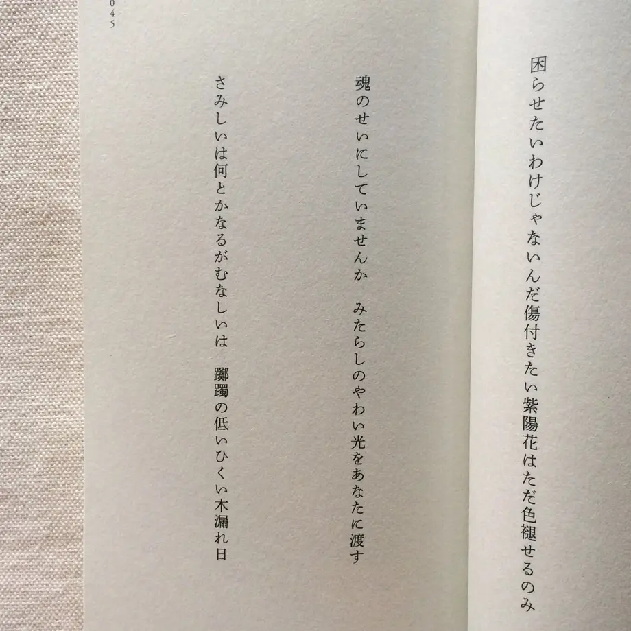 5f533f2cbc44dc45841ce2ef