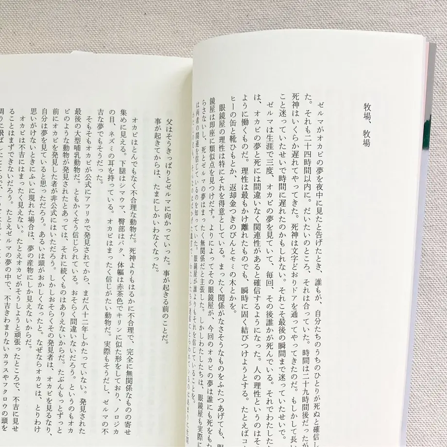 63bfc348a37f72597f99e357
