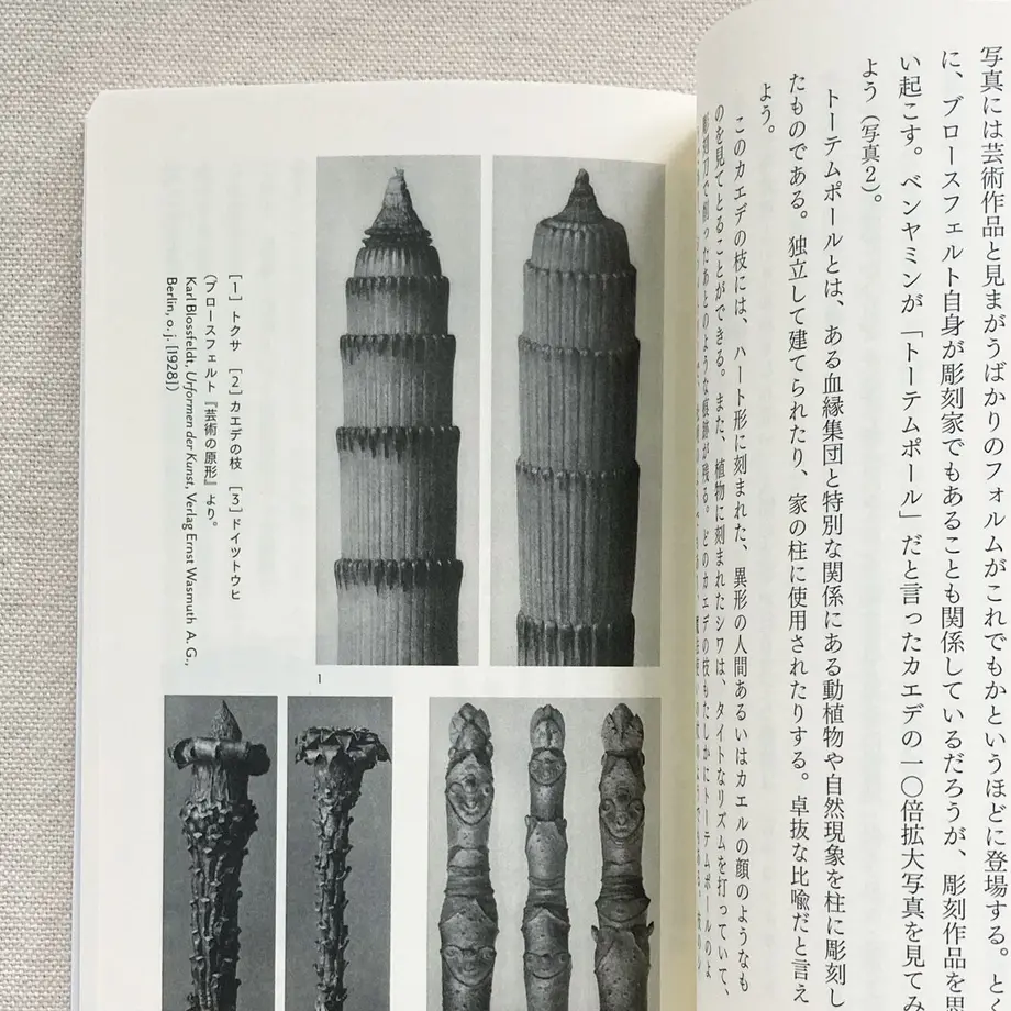 63ca6419a63f9542d8f5f321