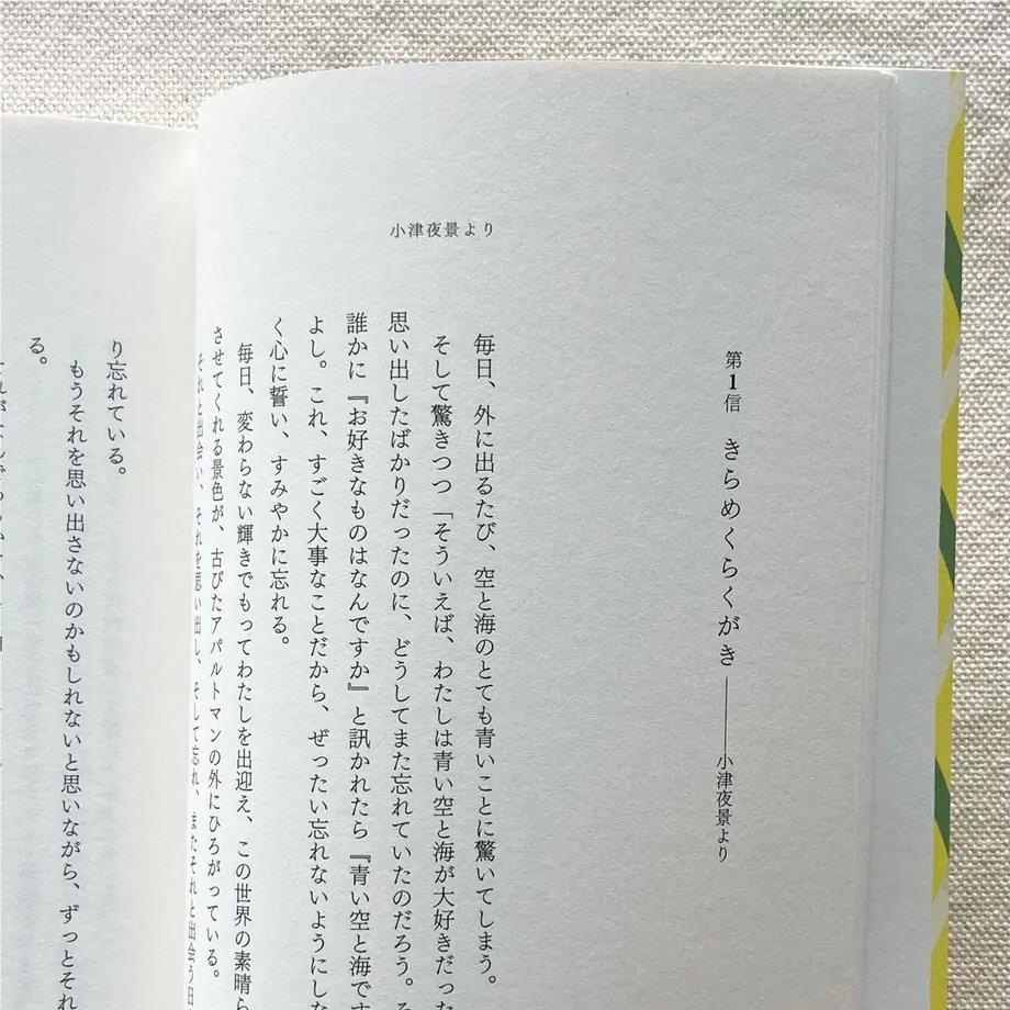 6235b65134e01752f1555381