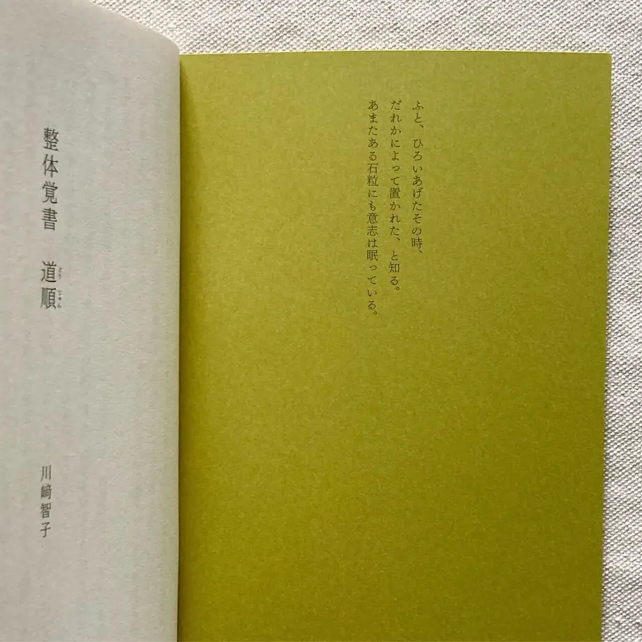 610bc282f604a969413f8d96