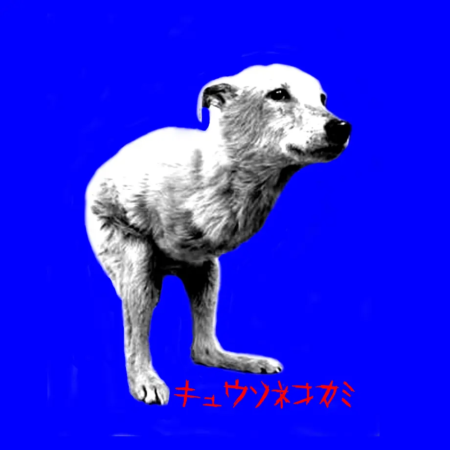 60adb30cf8440a4f302a271c