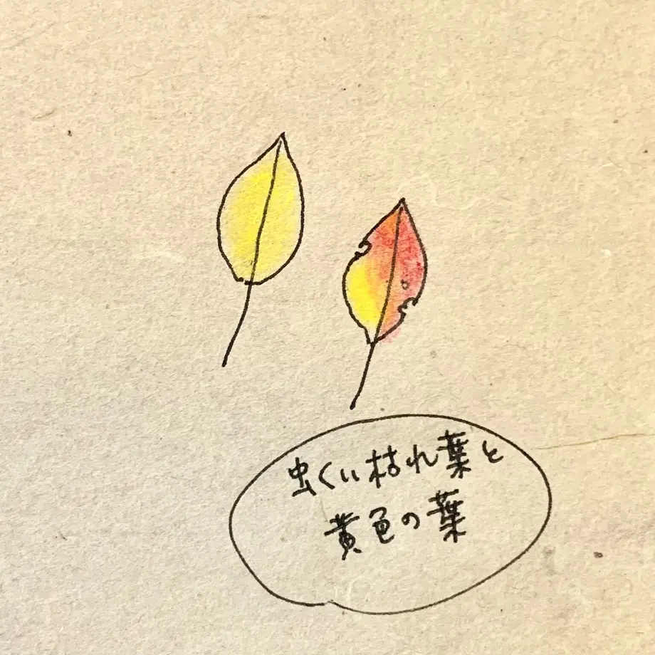 6380617cba62e04cf389c165