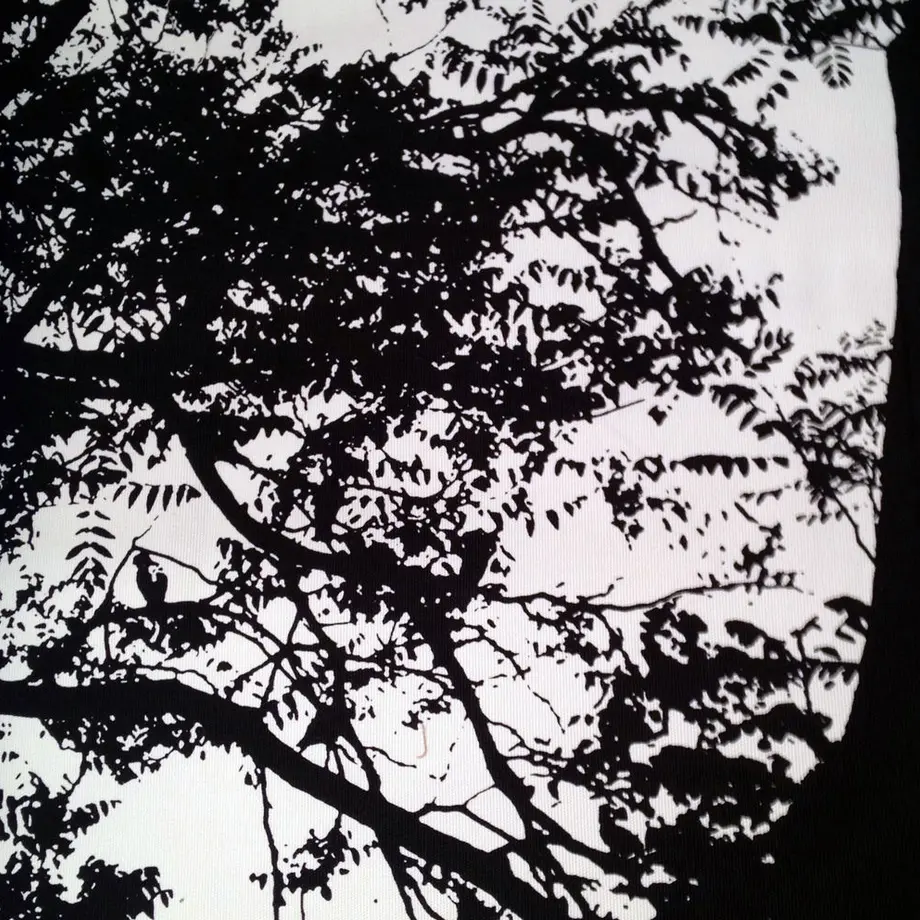 5901b86d1a704b4904002bb1