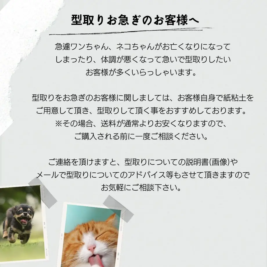 61ca8253b8979f4f580a740a