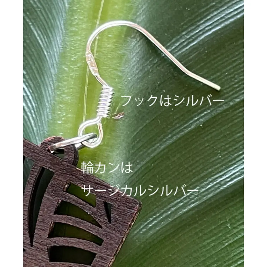 61809db6c15c5a08d03a0bbc