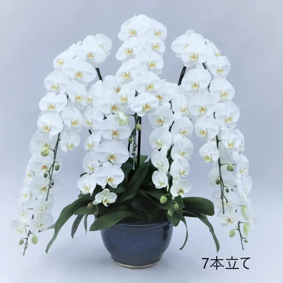 5b2f50c4122a7d4446001ad7