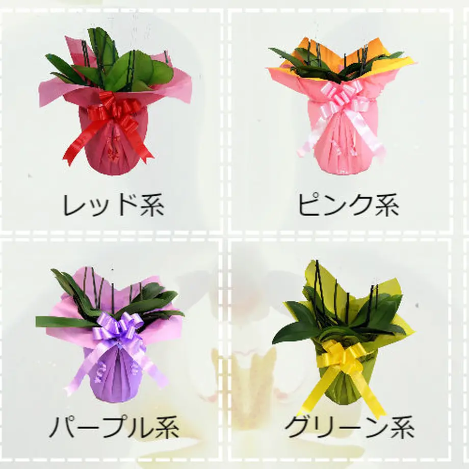 5b2f488550bbc37ed6002391