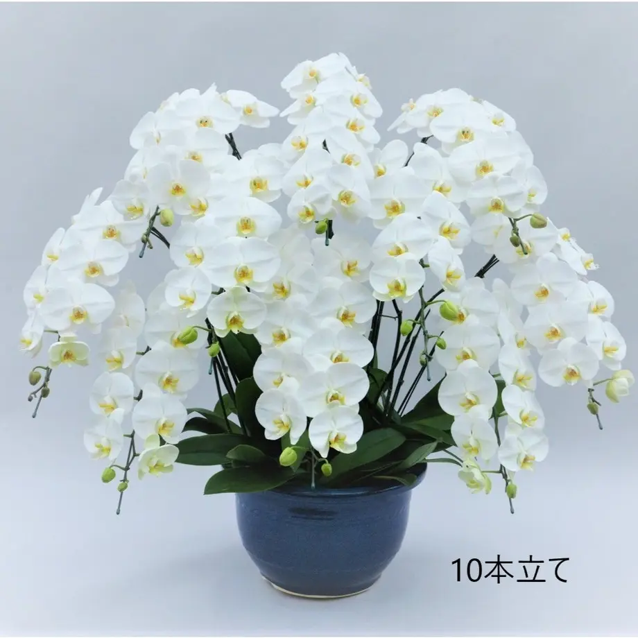 5b2f50c4122a7d4446001ad7