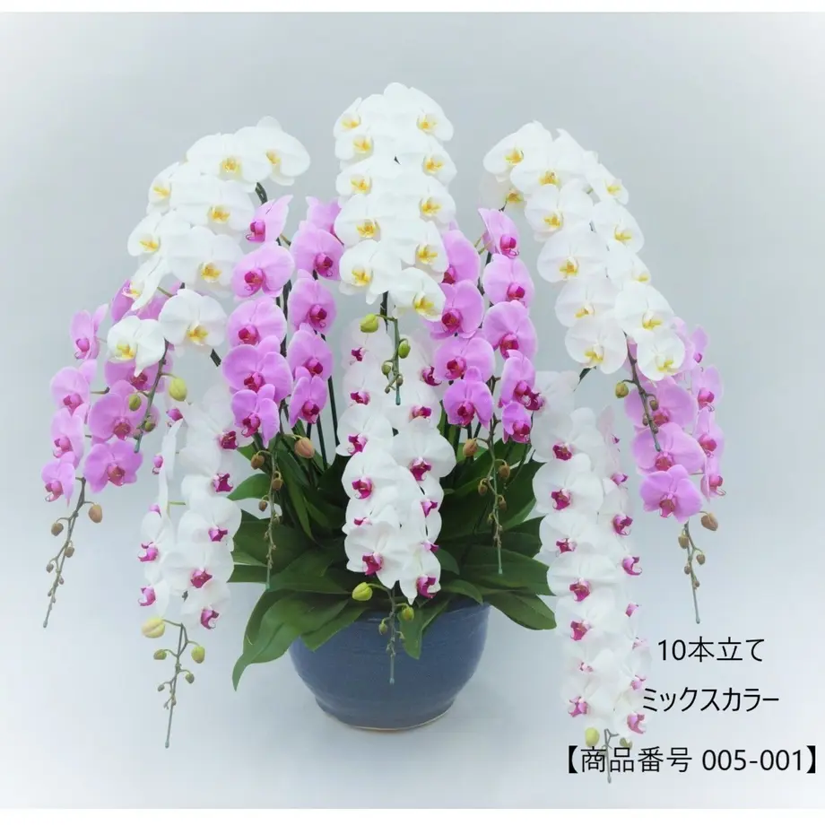 5b2f50c4122a7d4446001ad7