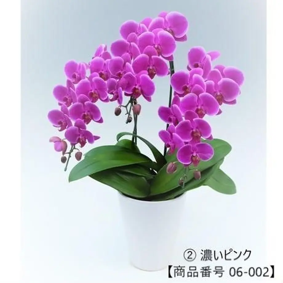 5b3afd7c5f786606fd000e3c