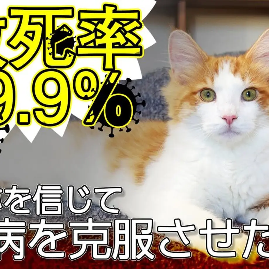 5f758c5c93f61976cd5f217d