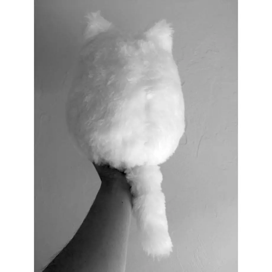 5ca1d0402c96c1230896a167