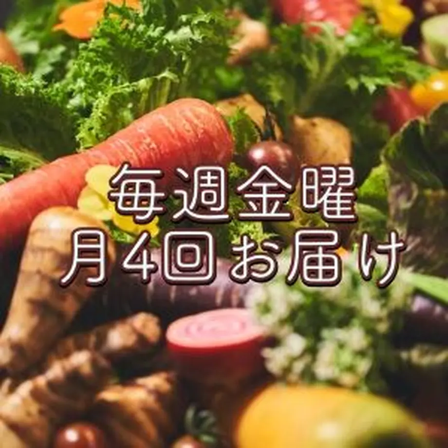 63ca3ac4ae97376c21ff4f4b