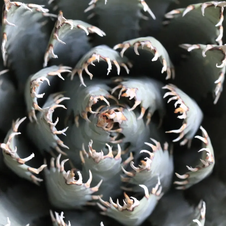 614a9562784e3f649899b65c