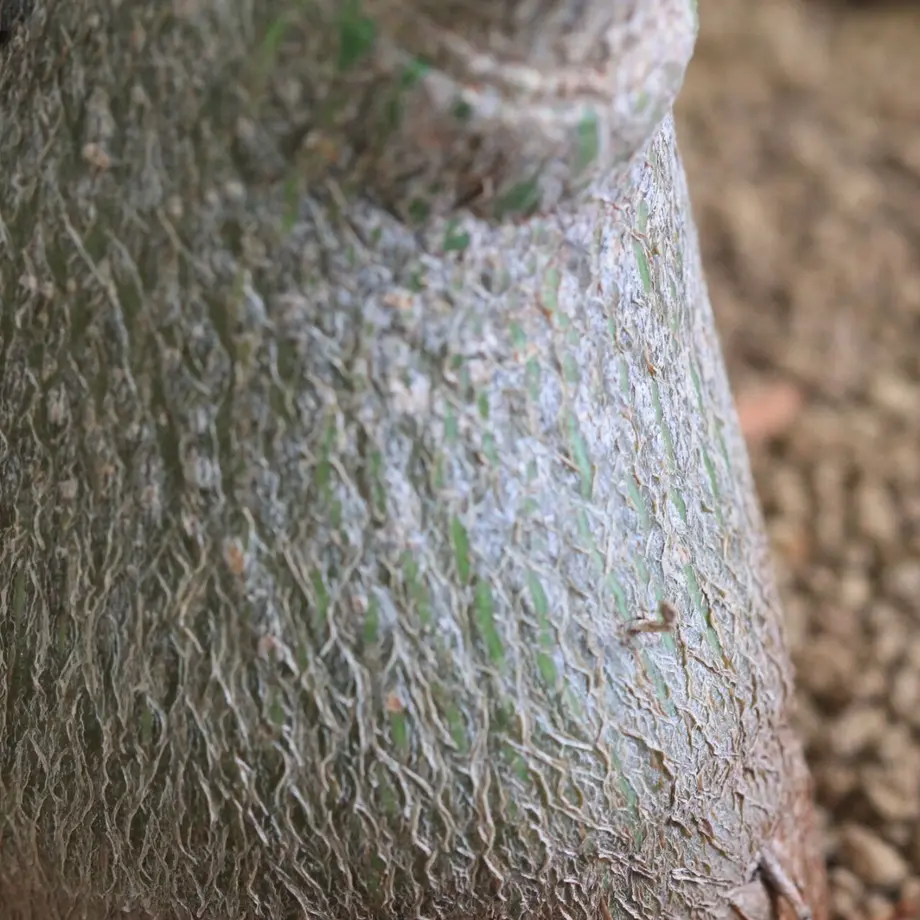 601114b66728be4911304ab3