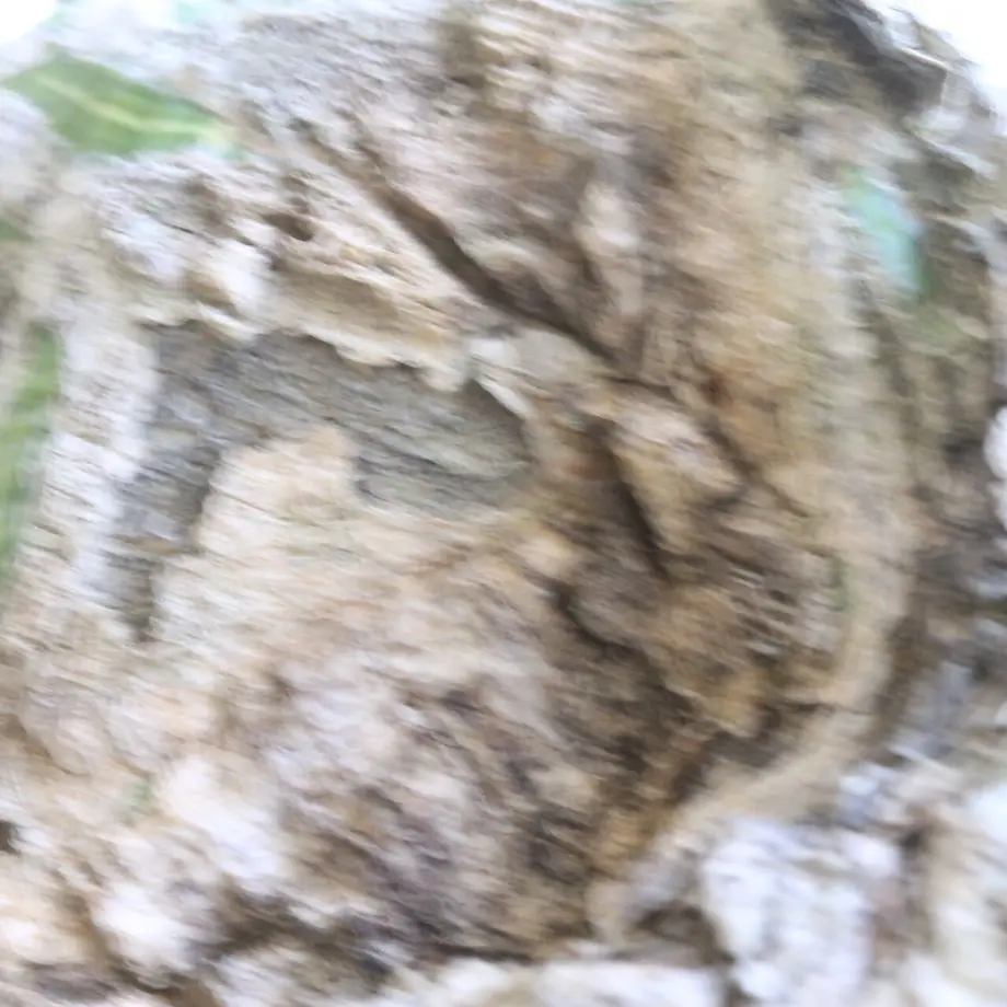 62639c0f88dc654a3d324617