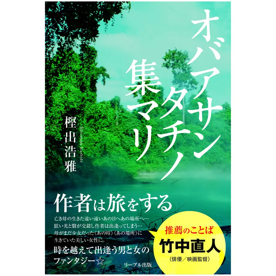 52a595288a56106ea300009d