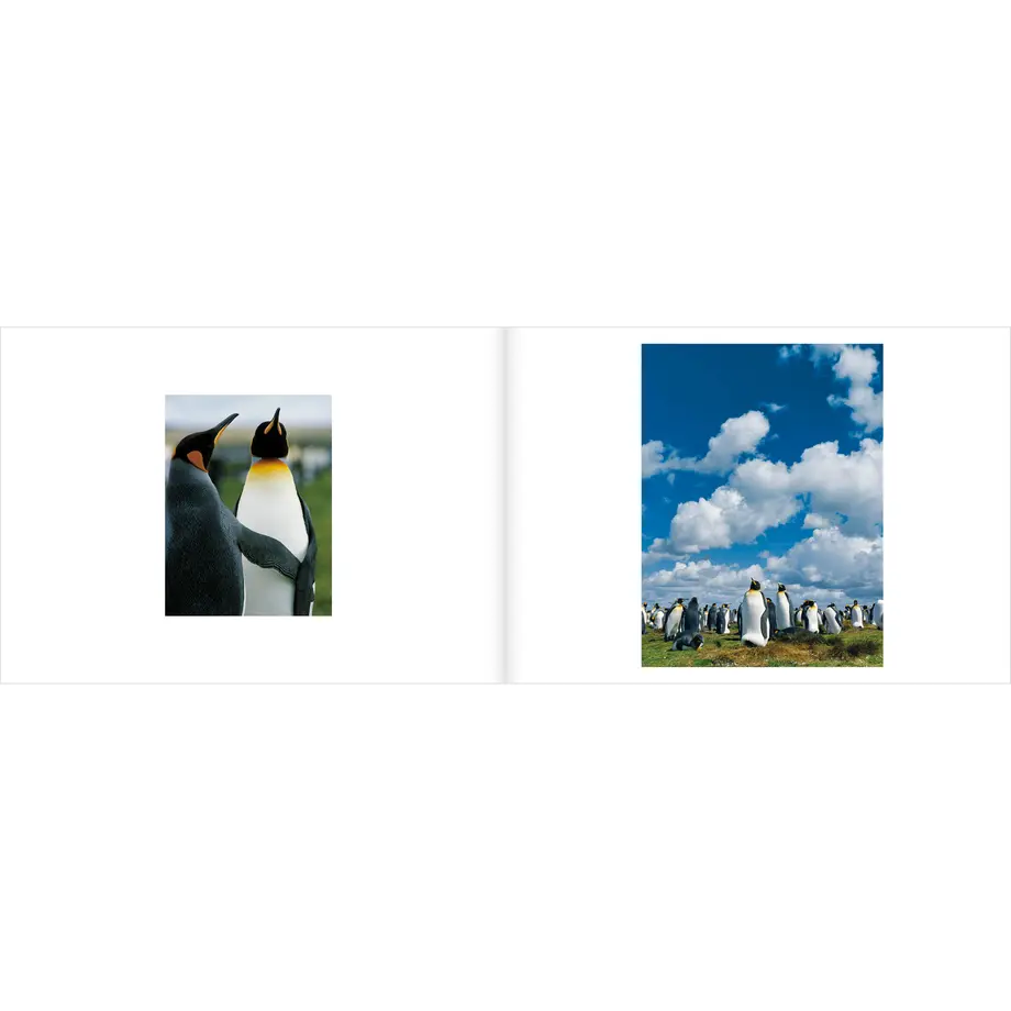 58dc5e761f4375ca740075f8