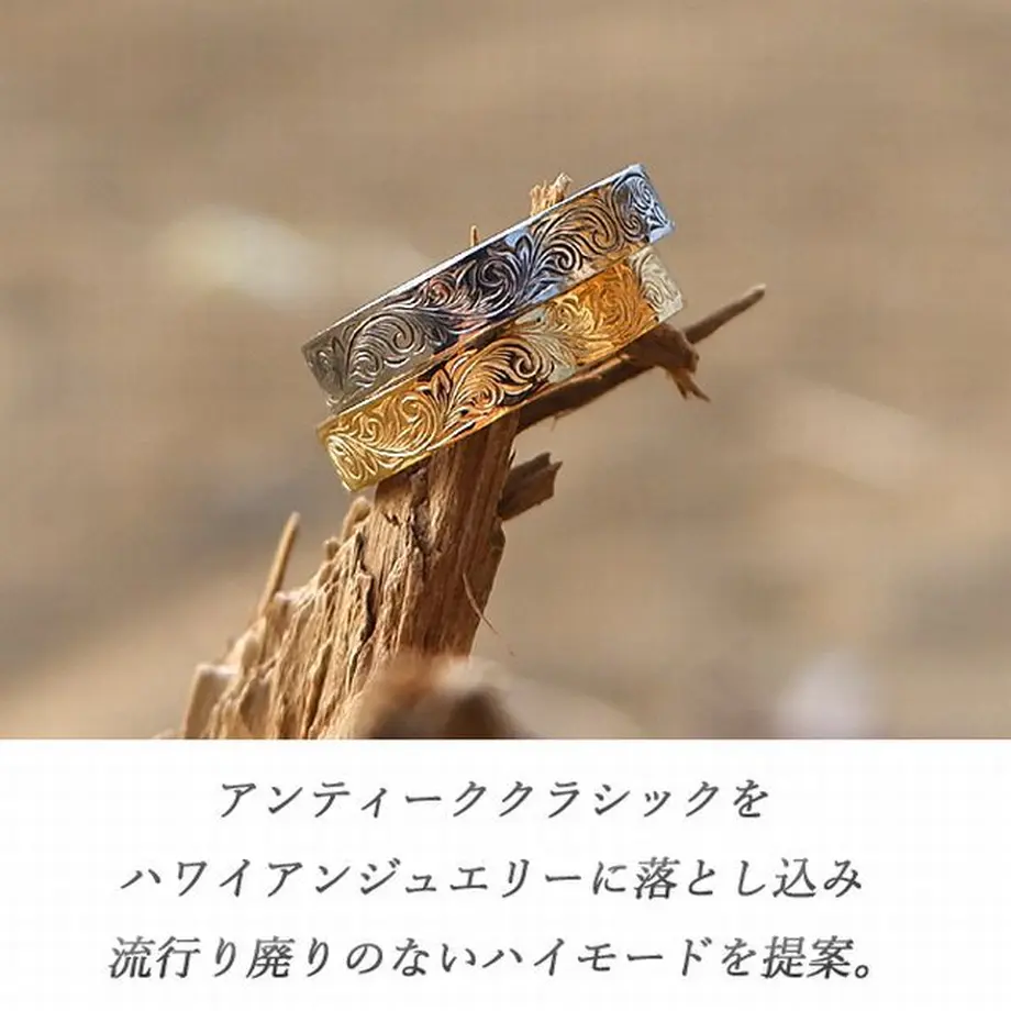 5fb81188935fcc39d4b2bbe6