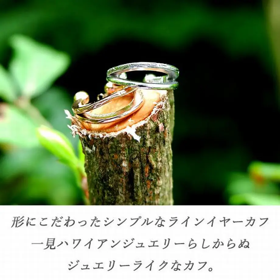 5fb811ae935fcc39d4b2bcd6