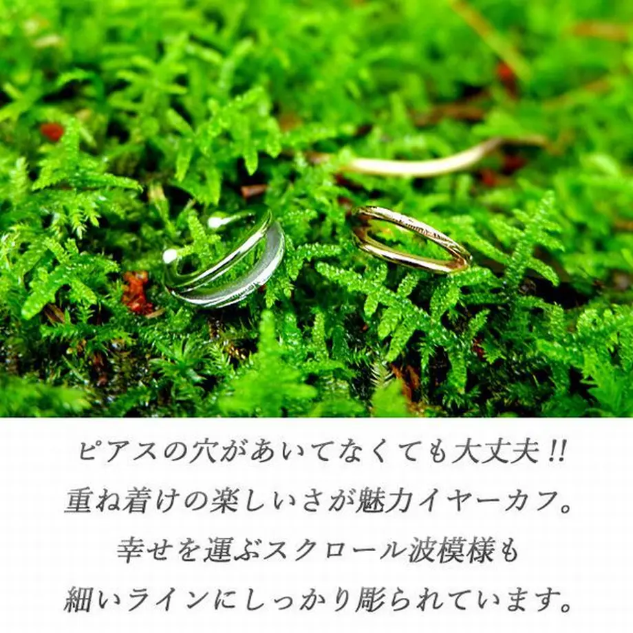 5fb811ae935fcc39d4b2bcd6
