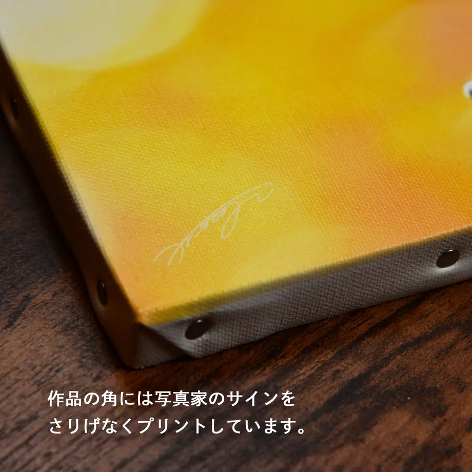 5e280470c78a533ae6e833d2
