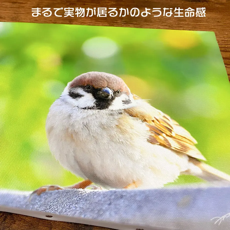 60d6e268b5285a3352eda656
