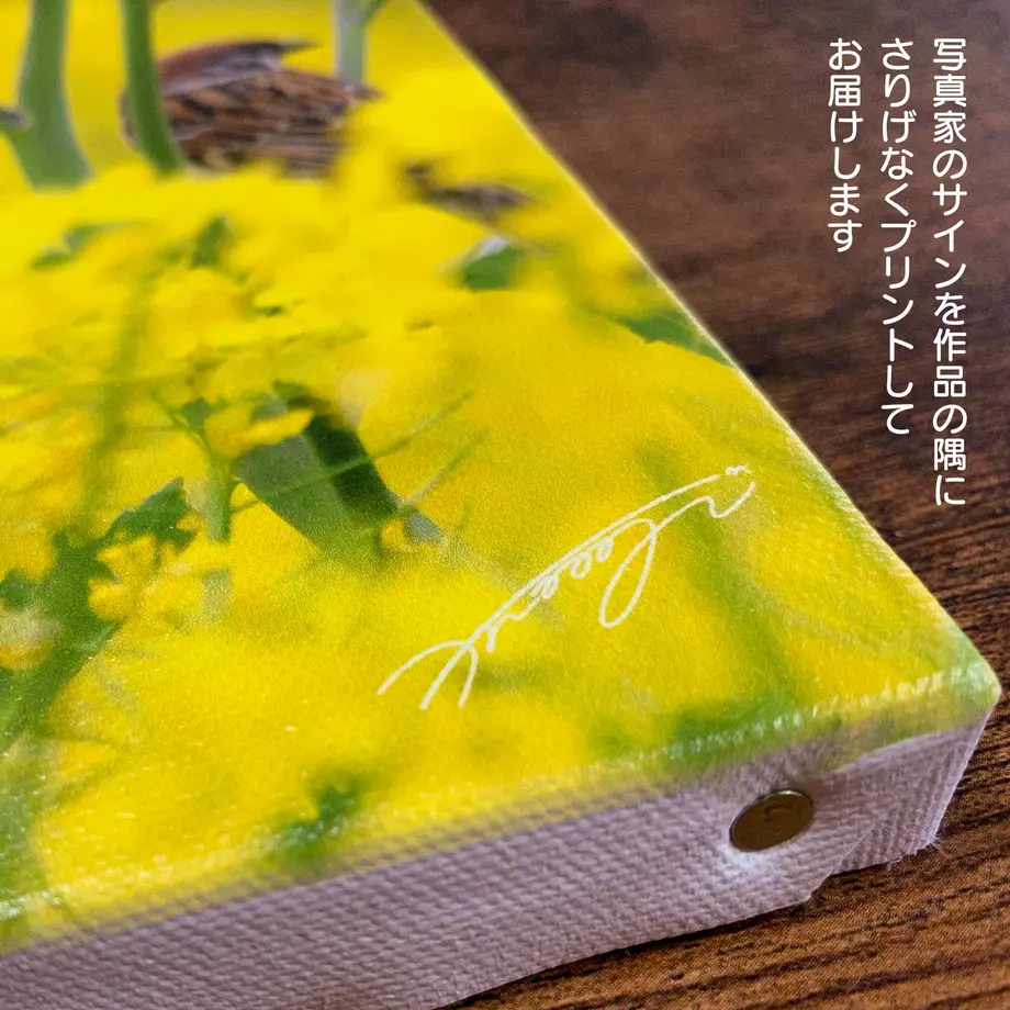 630a1614e502b14667aa5d80