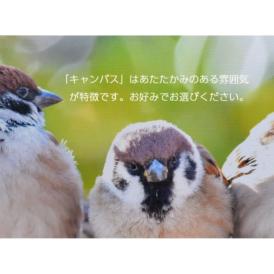 5ddb69284fb6c73868b87dc2